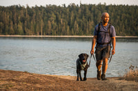 Ruffwear Front Range Harness
